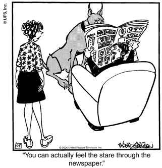 marmaduke